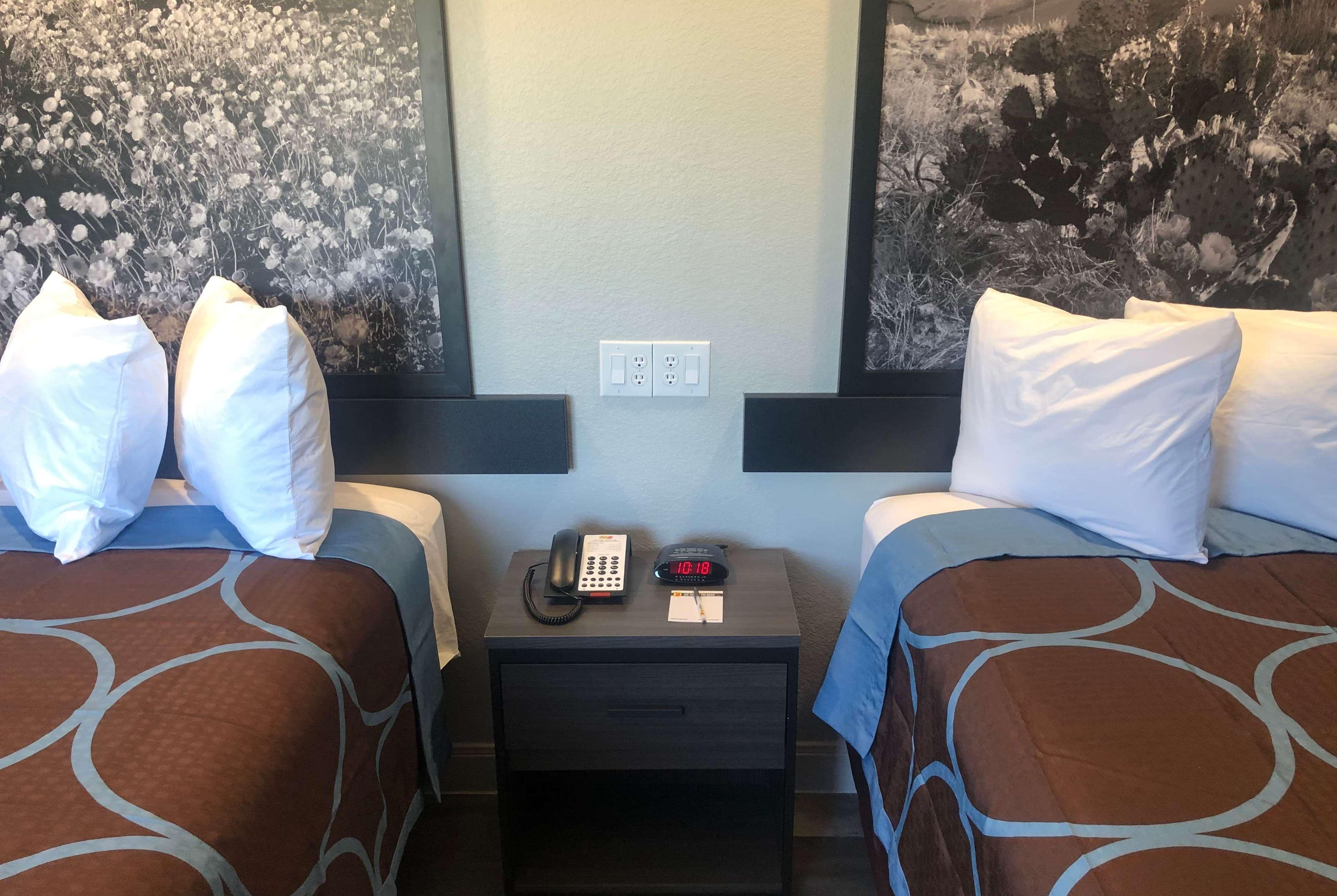 Hotel Blue ספרינג מראה חיצוני תמונה